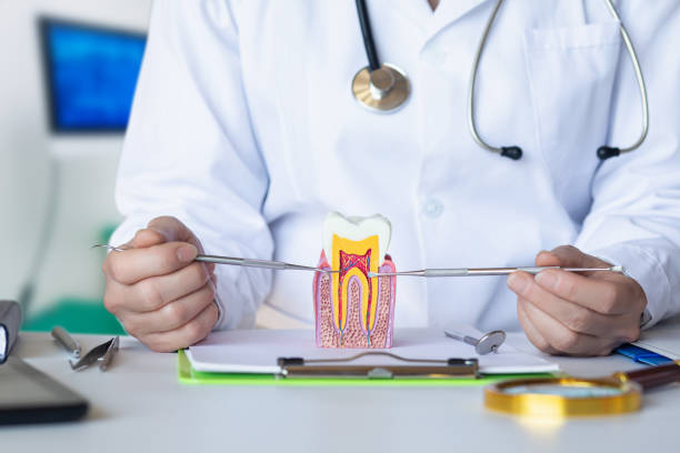 Best Emergency Broken Tooth Repair in Corralitos, CA